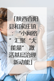 陕西合阳县和家庄镇：“小网格”汇聚“大能量” 激活基层治理新动能