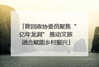隆回政协委员聚焦“亿年龙洞” 推动文旅融合赋能乡村振兴