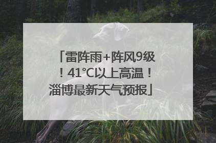 雷阵雨+阵风9级！41℃以上高温！淄博最新天气预报