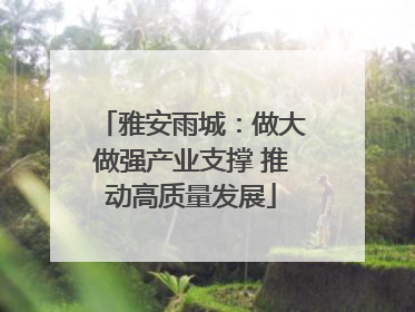 雅安雨城：做大做强产业支撑 推动高质量发展