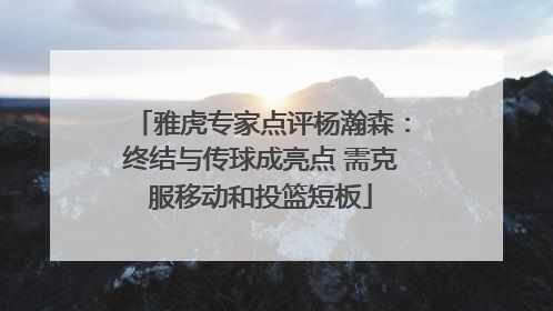 雅虎专家点评杨瀚森：终结与传球成亮点 需克服移动和投篮短板