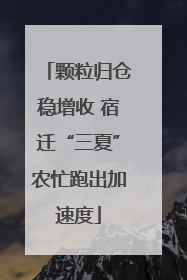 颗粒归仓稳增收 宿迁“三夏”农忙跑出加速度