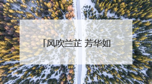 风吹兰芷 芳华如故 楚辞草木画展在湖南图书馆举办