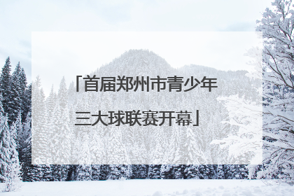 首届郑州市青少年三大球联赛开幕