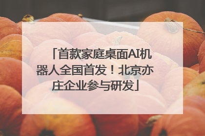 首款家庭桌面AI机器人全国首发！北京亦庄企业参与研发