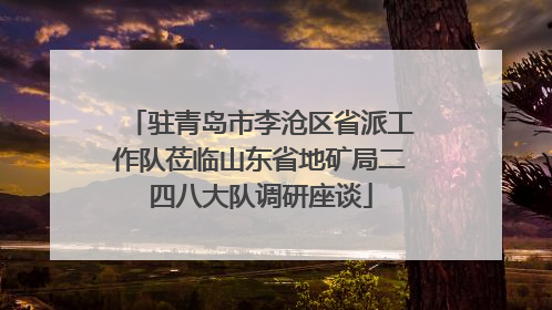 驻青岛市李沧区省派工作队莅临山东省地矿局二四八大队调研座谈