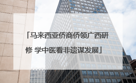 马来西亚侨商侨领广西研修 学中医看非遗谋发展
