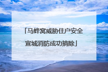 马蜂窝威胁住户安全 宣城消防成功摘除