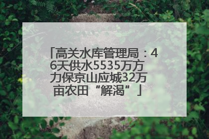 高关水库管理局：46天供水5535万方 力保京山应城32万亩农田“解渴”
