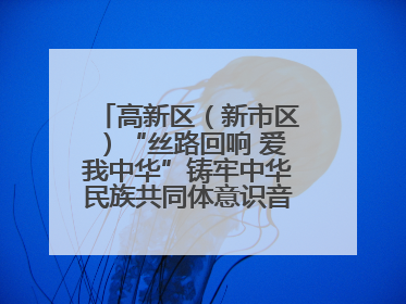 高新区（新市区）“丝路回响 爱我中华”铸牢中华民族共同体意识音乐会启幕