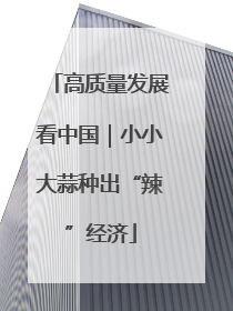 高质量发展看中国｜小小大蒜种出“辣”经济