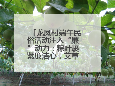 龙凤村端午民俗活动注入“廉”动力：粽叶裹紧廉洁心，艾草锤敲警示钟