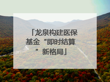 龙泉构建医保基金“即时结算”新格局