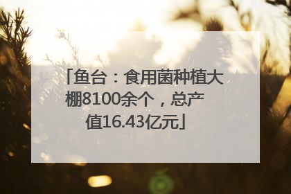鱼台：食用菌种植大棚8100余个，总产值16.43亿元