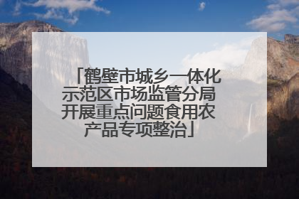 鹤壁市城乡一体化示范区市场监管分局开展重点问题食用农产品专项整治
