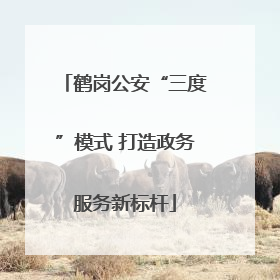 鹤岗公安“三度”模式 打造政务服务新标杆