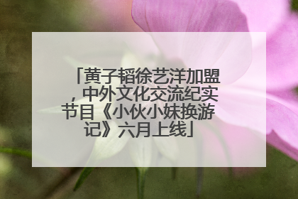 黄子韬徐艺洋加盟，中外文化交流纪实节目《小伙小妹换游记》六月上线
