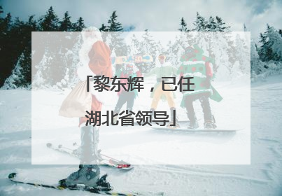 黎东辉，已任湖北省领导