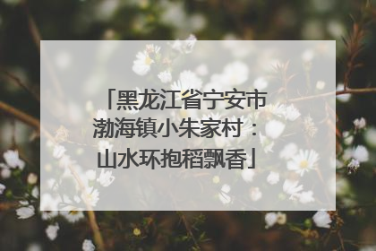 黑龙江省宁安市渤海镇小朱家村：山水环抱稻飘香