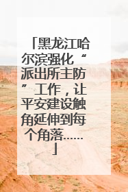 黑龙江哈尔滨强化“派出所主防”工作，让平安建设触角延伸到每个角落……