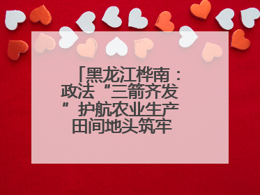 黑龙江桦南：政法“三箭齐发”护航农业生产 田间地头筑牢平安建设防线