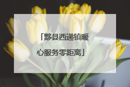 黟县西递镇暖心服务零距离