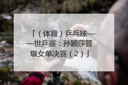 （体育）乒乓球——世乒赛：孙颖莎晋级女单决赛（2）