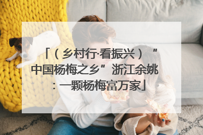 （乡村行·看振兴）“中国杨梅之乡”浙江余姚：一颗杨梅富万家