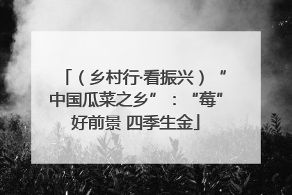 （乡村行·看振兴）“中国瓜菜之乡”：“莓”好前景 四季生金