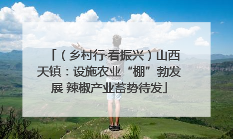 （乡村行·看振兴）山西天镇：设施农业“棚”勃发展 辣椒产业蓄势待发
