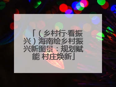 （乡村行·看振兴）海南绘乡村振兴新图景：规划赋能 村庄焕新