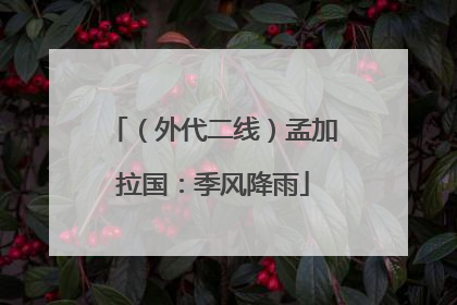 （外代二线）孟加拉国：季风降雨