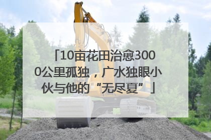 10亩花田治愈3000公里孤独，广水独眼小伙与他的“无尽夏”