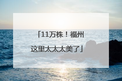 11万株！福州这里太太太美了