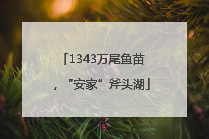 1343万尾鱼苗，“安家”斧头湖