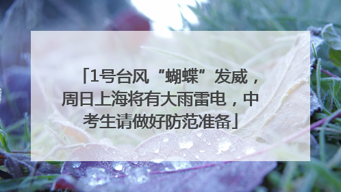 1号台风“蝴蝶”发威，周日上海将有大雨雷电，中考生请做好防范准备