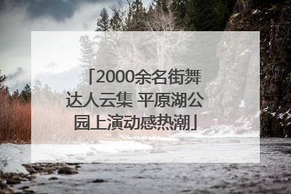 2000余名街舞达人云集 平原湖公园上演动感热潮