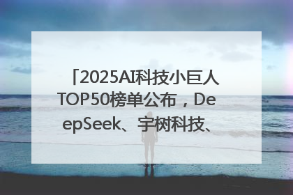 2025AI科技小巨人TOP50榜单公布，DeepSeek、宇树科技、蘑菇车联等企业荣誉上榜