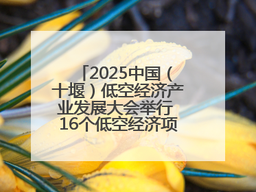 2025中国（十堰）低空经济产业发展大会举行 16个低空经济项目落户车城