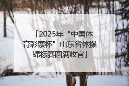 2025年“中国体育彩票杯”山东省体操锦标赛圆满收官