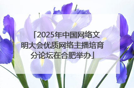 2025年中国网络文明大会优质网络主播培育分论坛在合肥举办