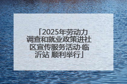 2025年劳动力调查和就业政策进社区宣传服务活动·临沂站 顺利举行