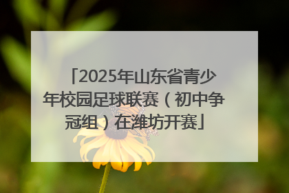 2025年山东省青少年校园足球联赛(初中争冠组)在潍坊开赛