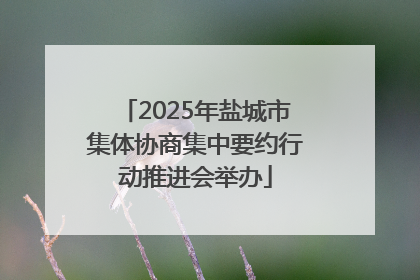 2025年盐城市集体协商集中要约行动推进会举办