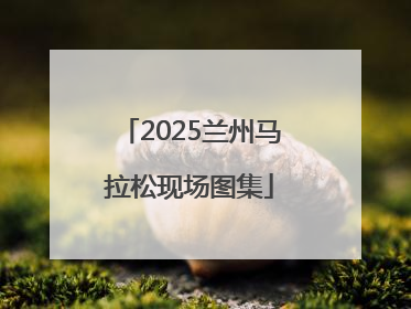 2025兰州马拉松现场图集