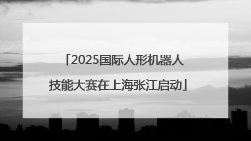 2025国际人形机器人技能大赛在上海张江启动