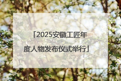 2025安徽工匠年度人物发布仪式举行