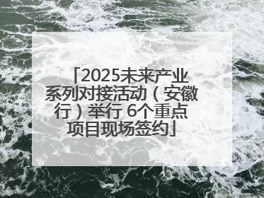 2025未来产业系列对接活动（安徽行）举行 6个重点项目现场签约