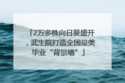 2万多株向日葵盛开，武生院打造全国最美毕业“背景墙”