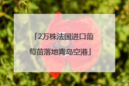 2万株法国进口葡萄苗落地青岛空港